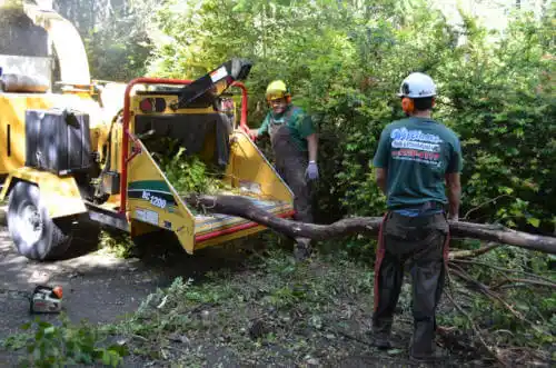 tree services Lockwood